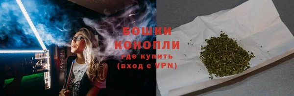 гидра Надым