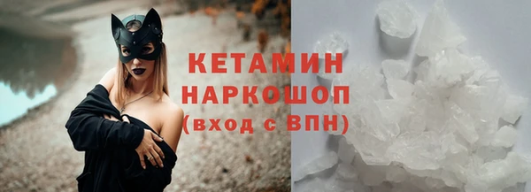гидра Надым
