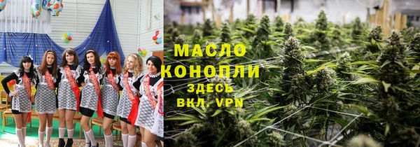 гидра Надым