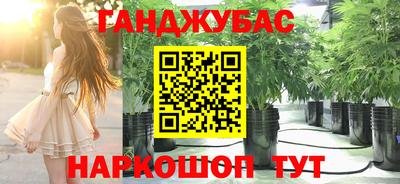 мяу мяу мука Дубна
