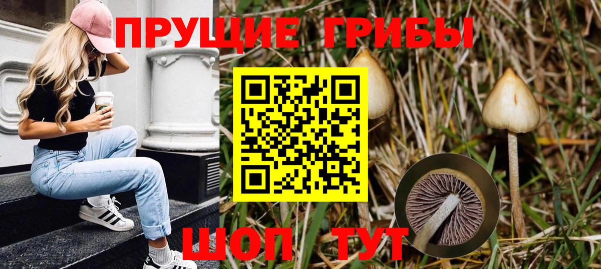 где купить   Вход с VPN  Псков  Псилоцибиновые грибы MAGIC MUSHROOMS 
